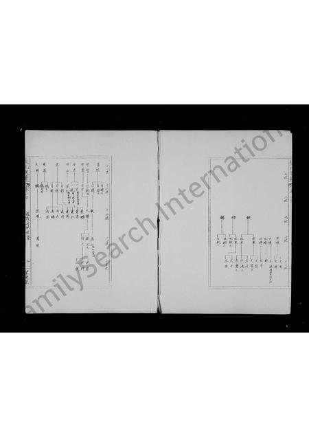 海南张氏-张氏族谱.pdf电子版预览图3