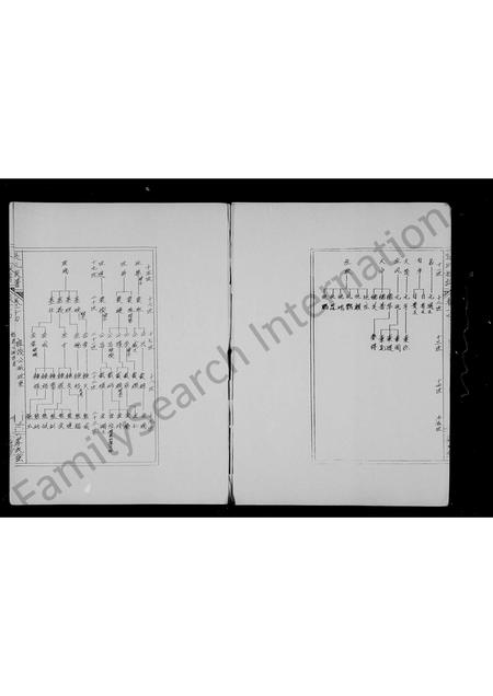 海南张氏-张氏族谱.pdf电子版预览图4