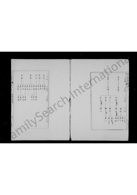 海南张氏-张氏族谱.pdf电子版预览图5