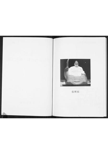 海南张氏-张氏族谱.pdf电子版预览图2