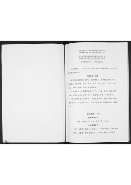 海南张氏-张氏族谱.pdf电子版预览图2