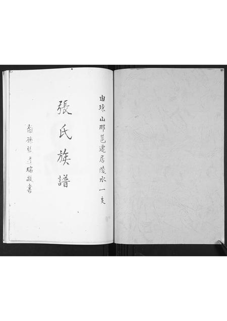 海南张氏-张氏族谱.pdf电子版预览图1