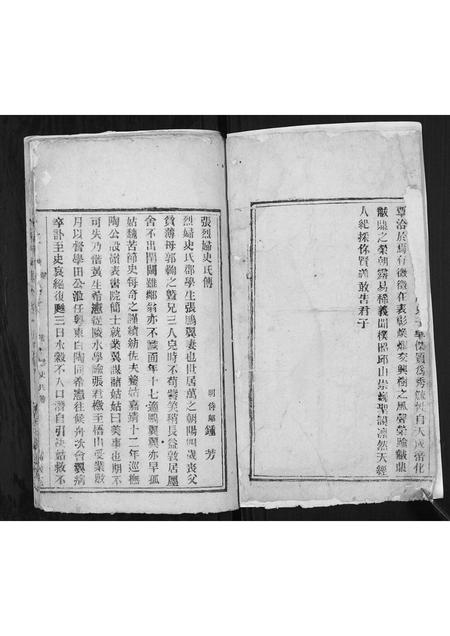 海南张氏-张氏族谱.pdf电子版预览图2