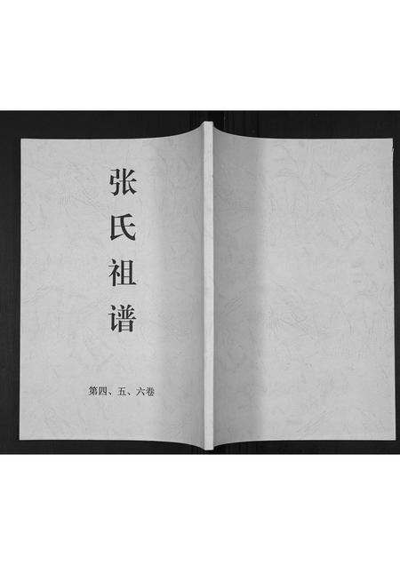 海南张氏-张氏族谱[25卷].pdf电子版缩略图