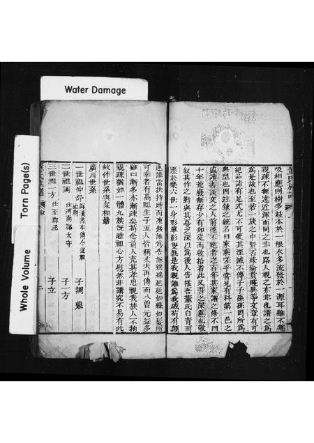 山东董氏-董氏族谱(别名：乐陵董氏家乘).pdf电子版预览图2