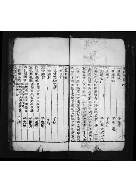 山东董氏-董氏族谱(别名：乐陵董氏家乘).pdf电子版预览图5