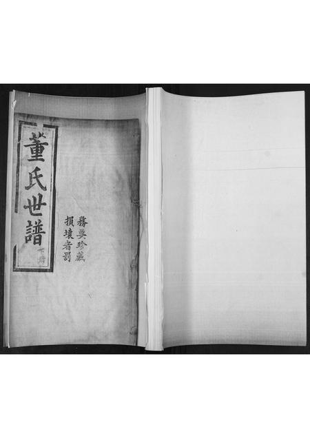 山东董氏-董氏世谱[不分卷].pdf电子版缩略图