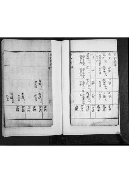 山东董氏-董氏世谱[不分卷].pdf电子版预览图1