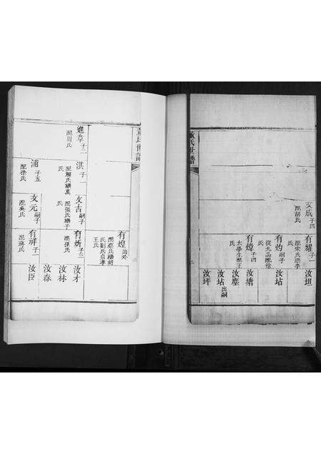 山东董氏-董氏世谱[不分卷].pdf电子版预览图2