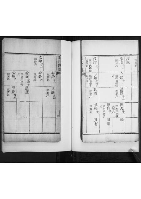 山东董氏-董氏世谱[不分卷].pdf电子版预览图4