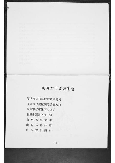 山东董氏-董氏家谱.pdf电子版预览图4