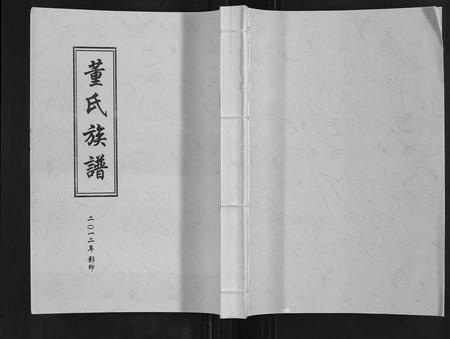 山东董氏-董氏族谱.pdf电子版缩略图