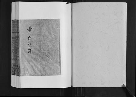 山东董氏-董氏族谱.pdf电子版预览图1