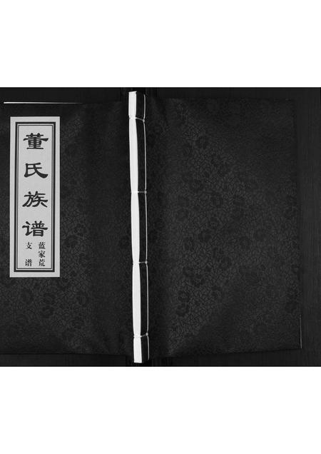 山东董氏-董氏族谱.即墨市蓝家荒支谱[不分卷].pdf电子版缩略图