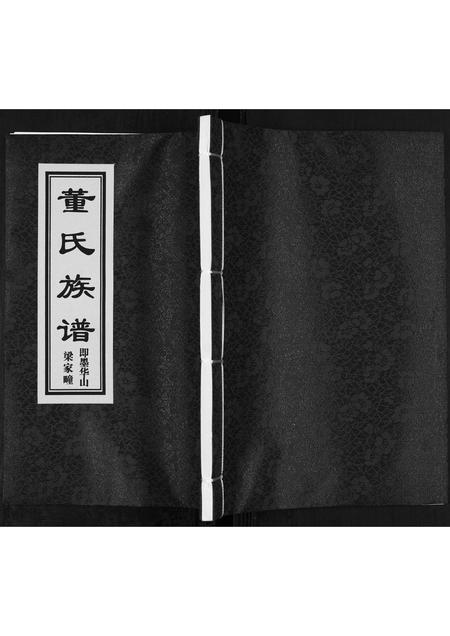 山东董氏-董氏族谱[不分卷].pdf电子版缩略图