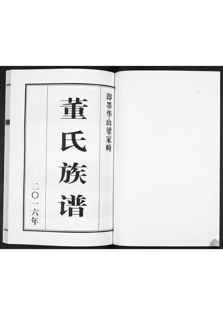 山东董氏-董氏族谱[不分卷].pdf电子版预览图1