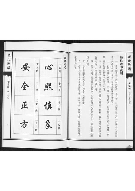 山东董氏-董氏族谱[不分卷].pdf电子版预览图5