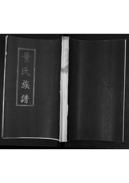 山东董氏-董氏族谱[不分卷].pdf电子版缩略图