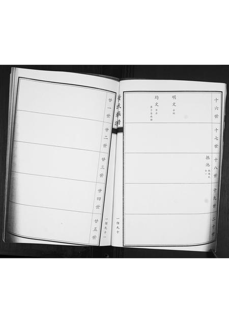 山东董氏-董氏族谱[不分卷].pdf电子版预览图2