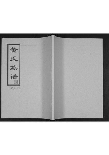 山东董氏-董氏族谱[不分卷].pdf电子版缩略图