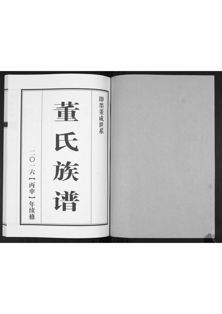 山东董氏-董氏族谱[不分卷].pdf电子版预览图1