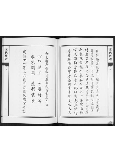 山东董氏-董氏族谱[不分卷].pdf电子版预览图4