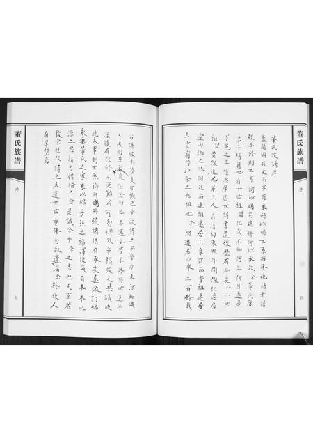 山东董氏-董氏族谱[不分卷].pdf电子版预览图5