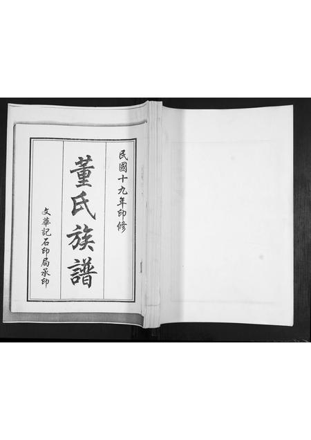 山东董氏-董氏族谱[不分卷].pdf电子版缩略图