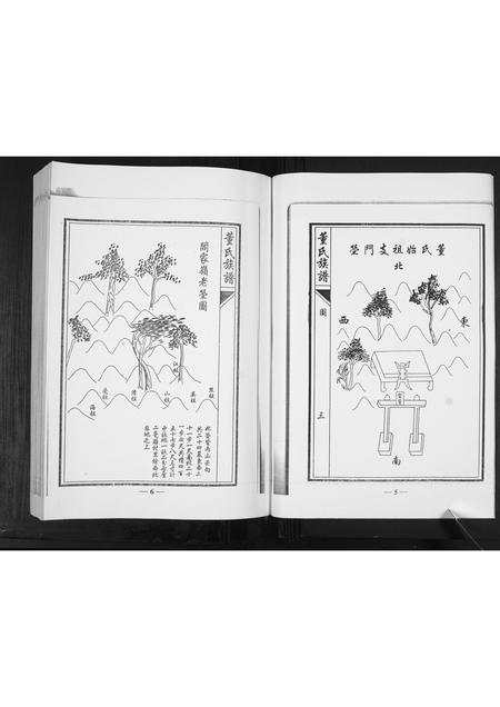 山东董氏-董氏族谱[不分卷].pdf电子版预览图3