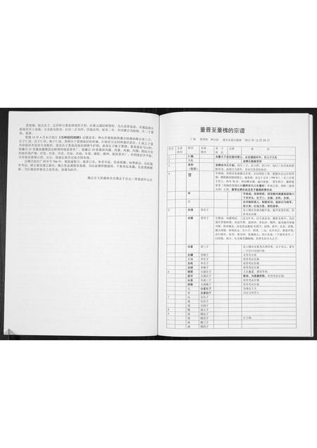 广西董氏-董氏宗谱[不分卷].pdf电子版预览图2