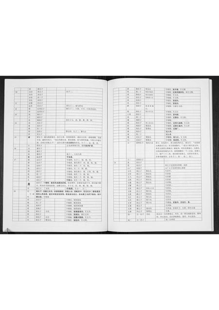 广西董氏-董氏宗谱[不分卷].pdf电子版预览图3
