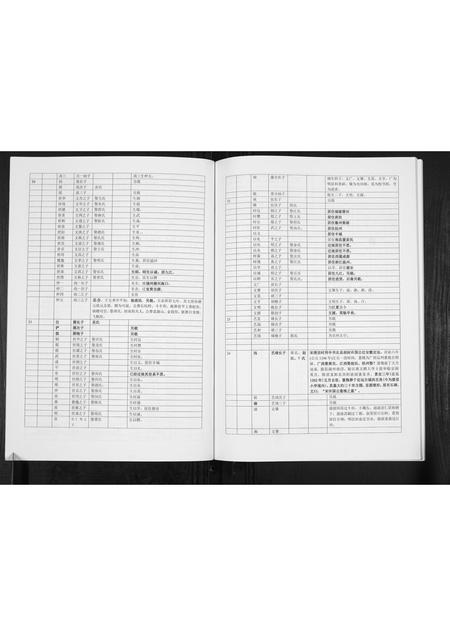 广西董氏-董氏宗谱[不分卷].pdf电子版预览图4