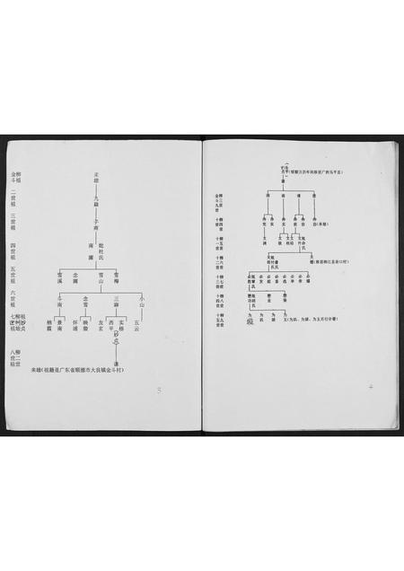 广西董氏-董氏族谱.pdf电子版预览图2