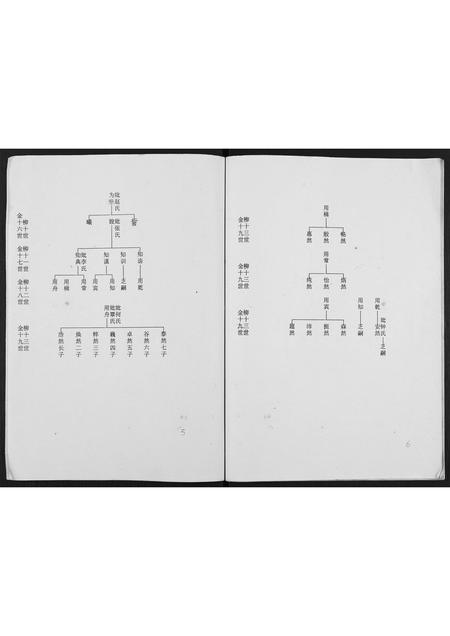 广西董氏-董氏族谱.pdf电子版预览图3
