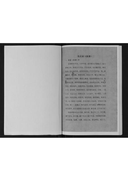 甘肃张氏-店头张氏族谱.pdf电子版预览图2