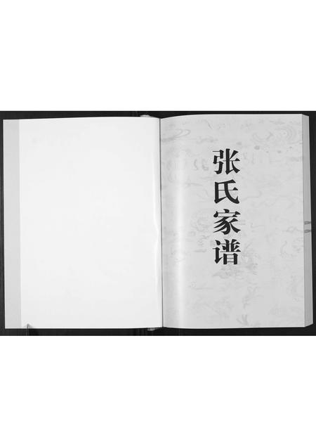 贵州张氏-平关张氏支谱.pdf电子版预览图1