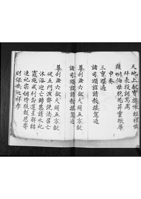 贵州张氏-[张氏]佑启后人.pdf电子版预览图4