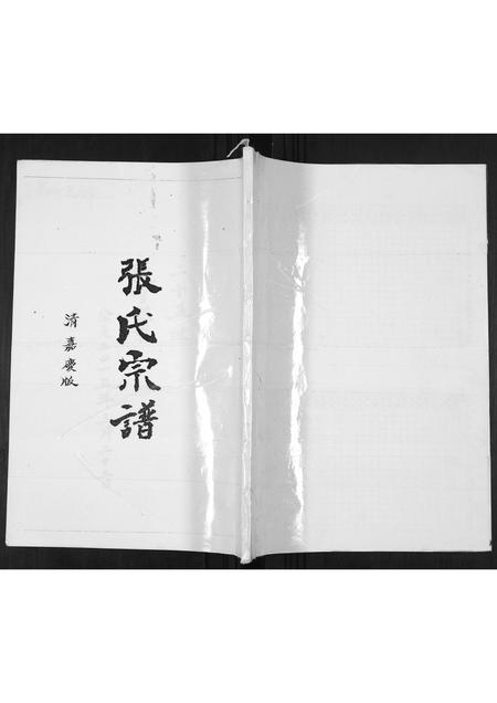 贵州张氏-张氏宗谱.pdf电子版缩略图