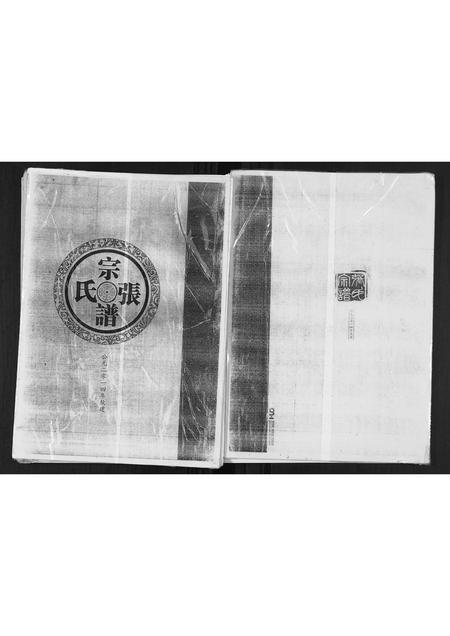 贵州张氏-张氏宗谱.pdf电子版缩略图