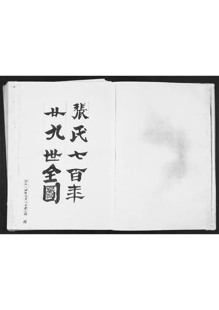 贵州张氏-张氏宗谱.pdf电子版预览图2