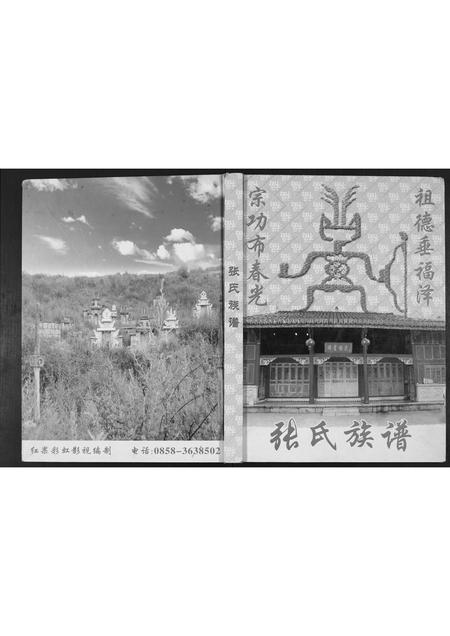 贵州张氏-张氏族谱.pdf电子版缩略图