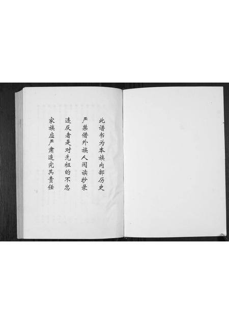 贵州张氏-张氏族谱.早公支系.pdf电子版预览图1