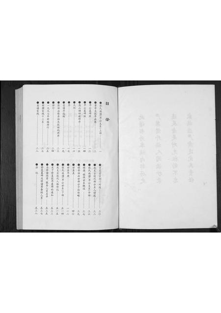 贵州张氏-张氏族谱.早公支系.pdf电子版预览图2