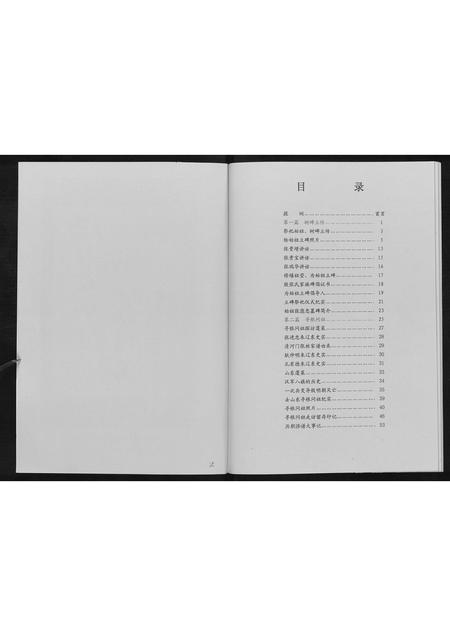 辽宁张氏-张府家族.pdf电子版预览图2