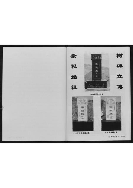 辽宁张氏-张府家族.pdf电子版预览图5