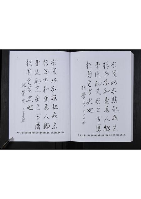 辽宁张氏-张氏家谱 [不分卷](别名：中国乌江山峡旅游文化丛书).pdf电子版预览图4