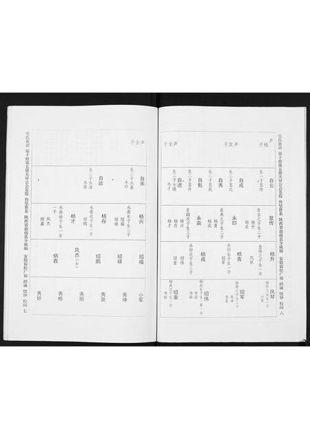 陜西张氏-宿松张氏仲四裔十修族谱续.pdf电子版预览图4