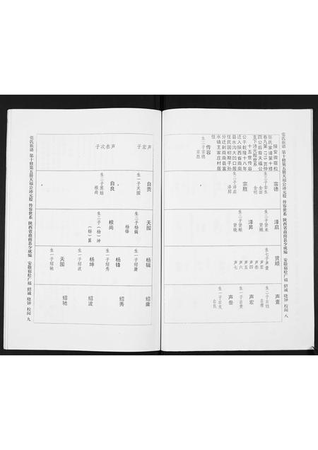 陜西张氏-宿松张氏仲四裔十修族谱续.pdf电子版预览图5