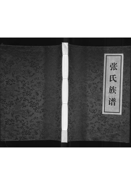 陜西张氏-张氏族谱(别名：张氏族谱首卷).pdf电子版缩略图