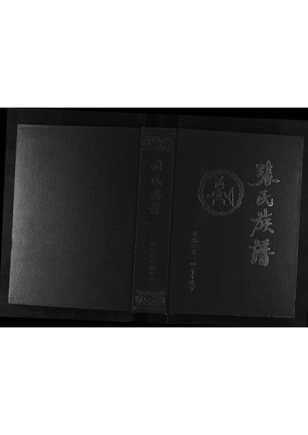 陜西张氏-张氏族谱.pdf电子版缩略图